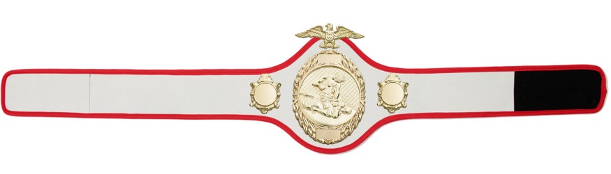 MMA CHAMPIONSHIP BELT- PRO288/G/MMAG - 10 COLOURS MMA CHAMPIONSHIP BELT- PRO288/G/MMAG - 10 COLOURS